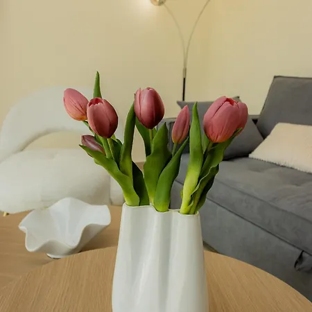 Fenar Holiday home Pigadhia